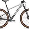 Focus RAVEN 8.9 -Mountainbikes & Zubehör FO3000012v2023 2023 29 DI GRY 090 Pro RAVEN 8 9