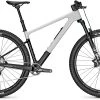 Focus RAVEN 8.8 -Mountainbikes & Zubehör FO3000013v2023 2023 29 DI GRY 090 Pro RAVEN 8 8