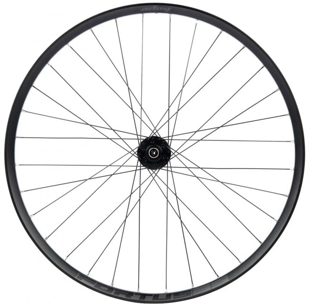 HOPE Fortus 35 Pro 4 Disc 6-Loch 29" MicroSpline Boost Hinterrad 4 HOPE Fortus 35 Pro 4 Disc 6-Loch 29" MicroSpline Boost Hinterrad – Bild 2