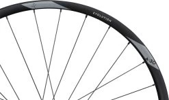 Newmen Evolution SL A.30 29" Boost Hinterrad -Mountainbikes & Zubehör Newmen Evolution SL A 30 90634 4 1