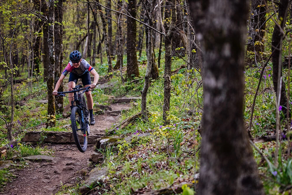 Santa Cruz Blur C S Trail 4 Santa Cruz Blur C S Trail - Image 2