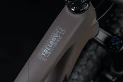 Santa Cruz Tallboy 5 C S 9 Santa Cruz Tallboy 5 C S -Mountainbikes & Zubehör Santa Cruz 192219250113 20123431 Tallboy 5 C S 4iB1G55TtrjFPE