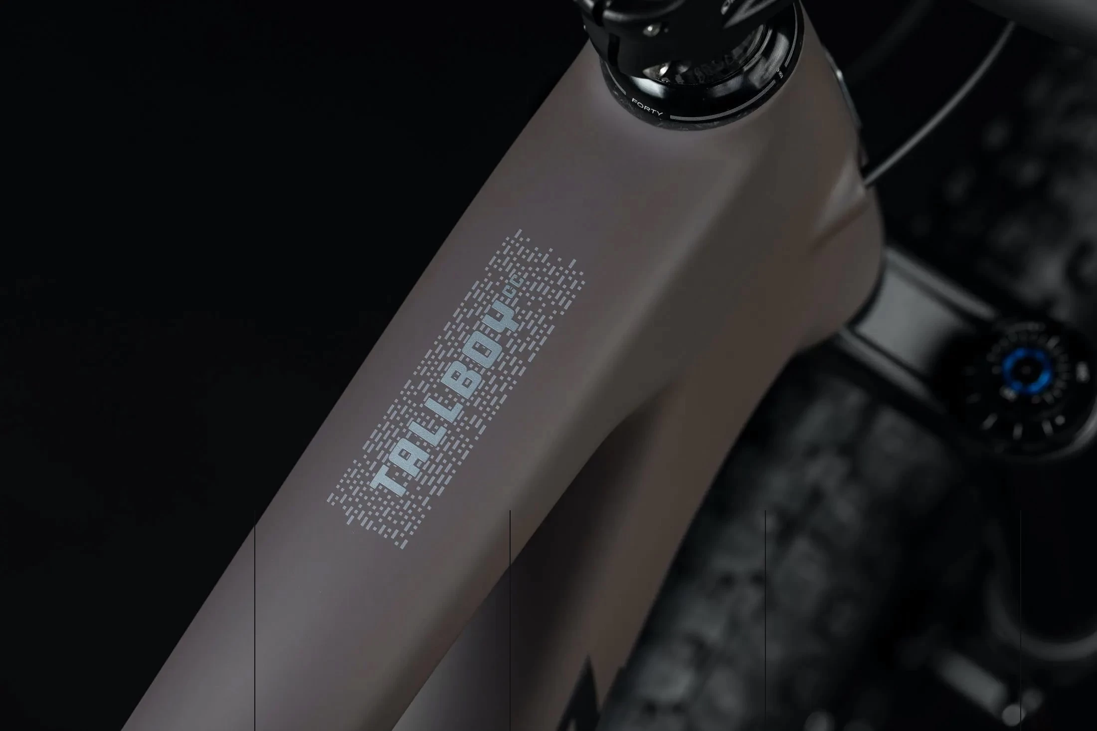 Santa Cruz Tallboy 5 C S 6 Santa Cruz Tallboy 5 C S – Bild 4